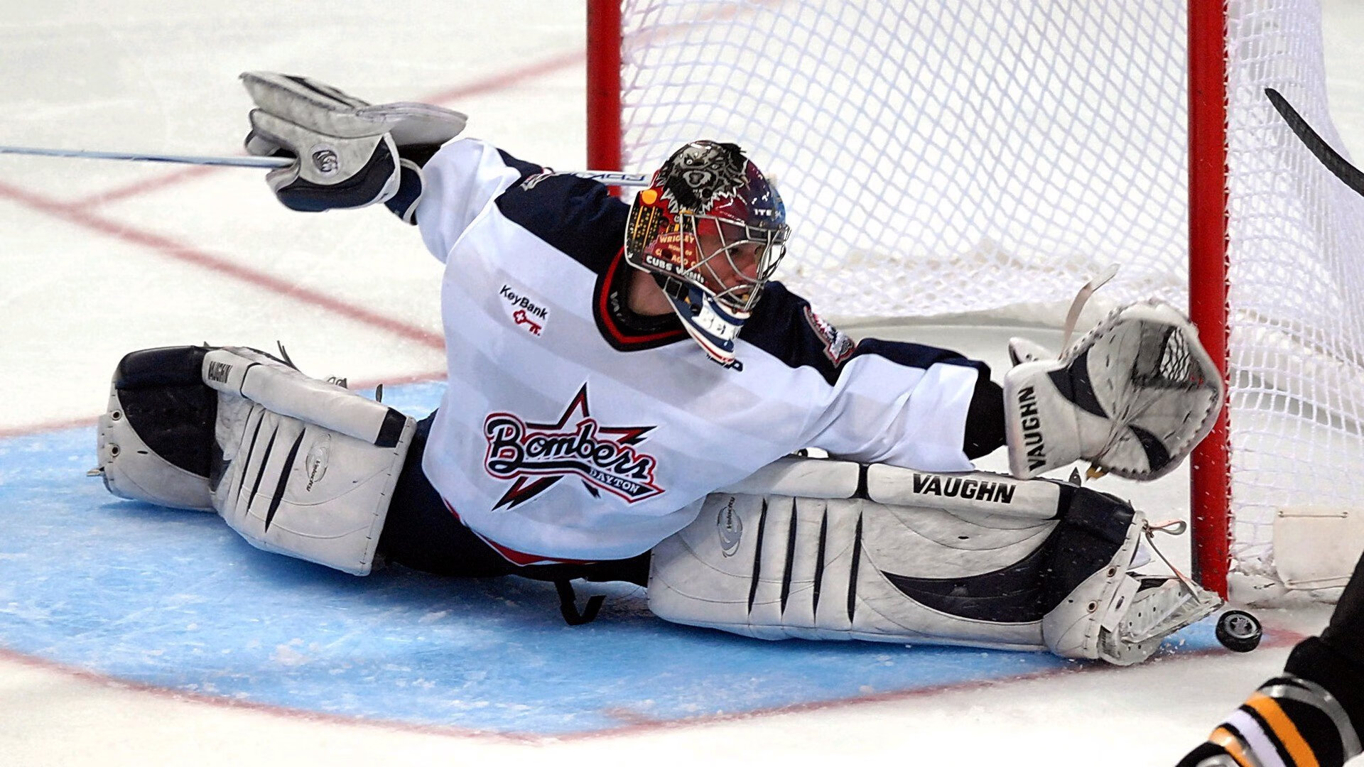 _鹈鹕潜力无限，逐步逼近排行榜前列_，鹈鹕科普